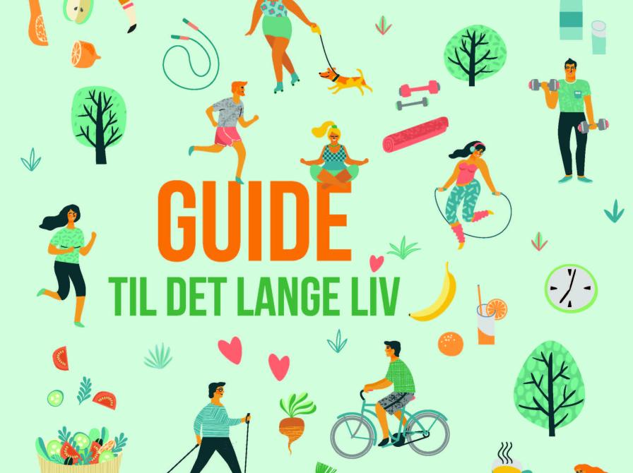 Forside af folderen "Guide til det lange liv"